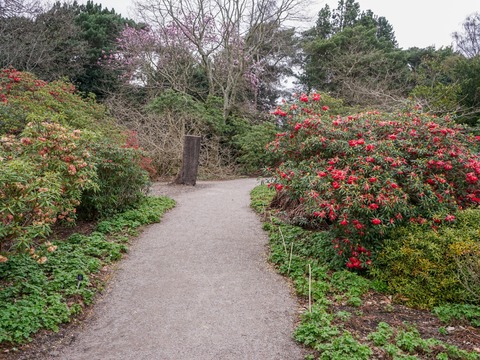 DSC07870