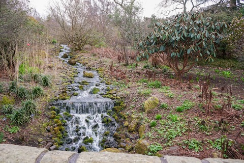 DSC07911