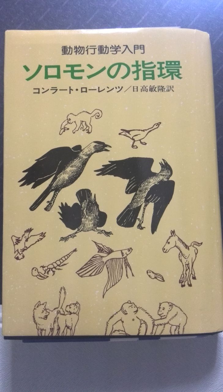 ソロモンの指環 ノーベル賞学者の誤った記述 冬尋坊日記 副題 66歳からの日本画修業