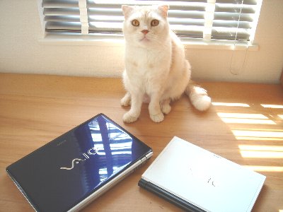 vaio16