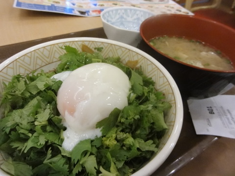DSC04927