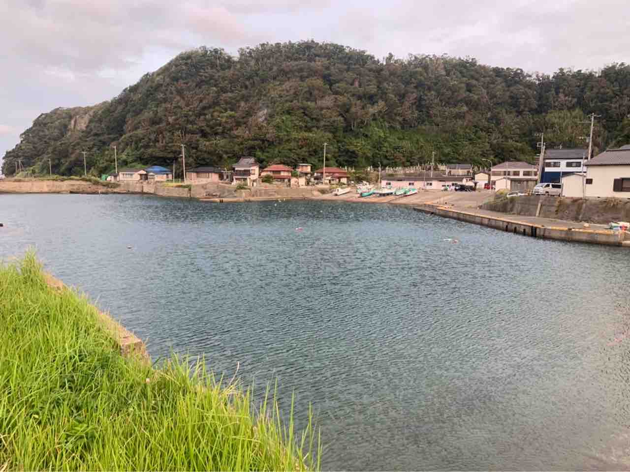 シーバスとアオリイカを求めて 岩井袋 洲崎 布良 たくの房総釣り日記