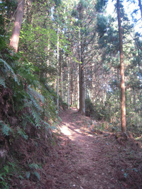 横峰寺への山道