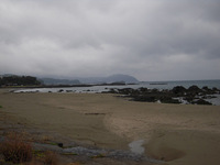 浮鞭海岸