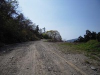 石鎚今宮道 砂利道を進む