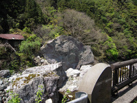 加茂川の景色