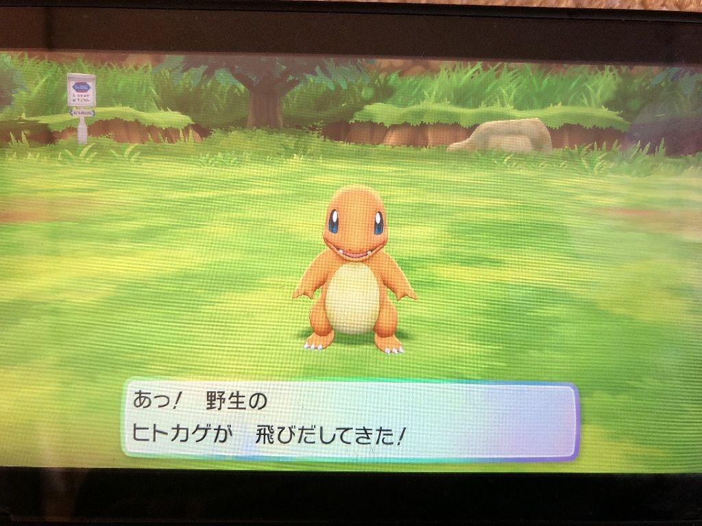 ポケモンゲーム 僕らの空 虹の導き ポケモンゲーム 僕らの空 虹の導き