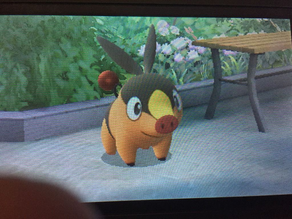 ポケモンゲーム 僕らの空 虹の導き ポケモンゲーム 僕らの空 虹の導き