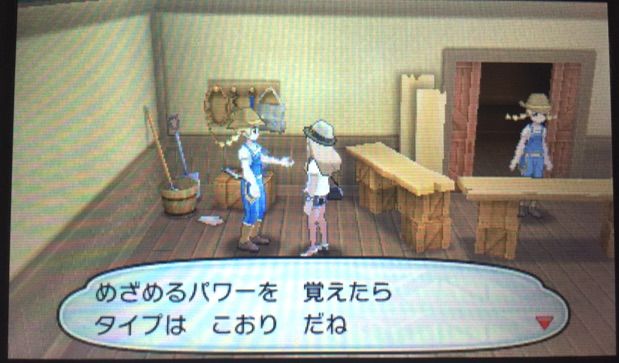 めざ炎テテフ厳選 はちみつのつぼ めざ炎テテフ厳選 はちみつのつぼ