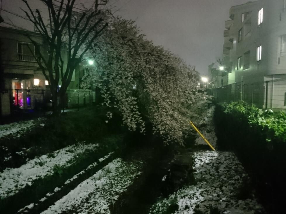 DSC_0001_zed20200329_230051_30p