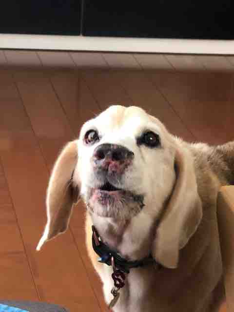 今日の病院 たくとの部 その16 夢奏 むそう 日々つれづれ