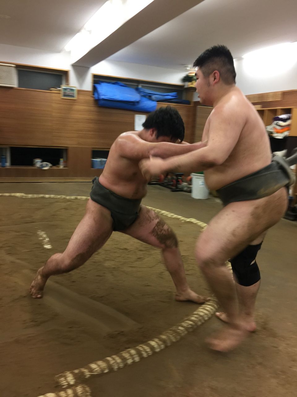 イメージ 8