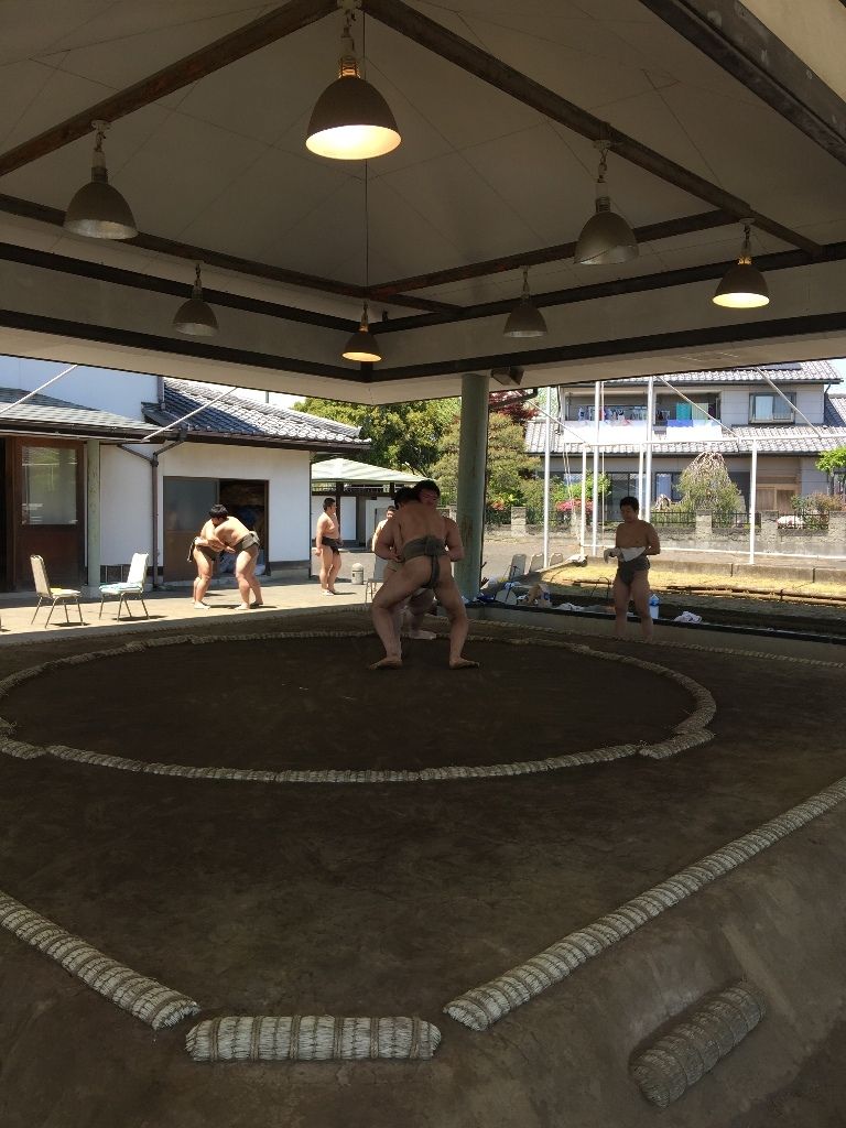 イメージ 8