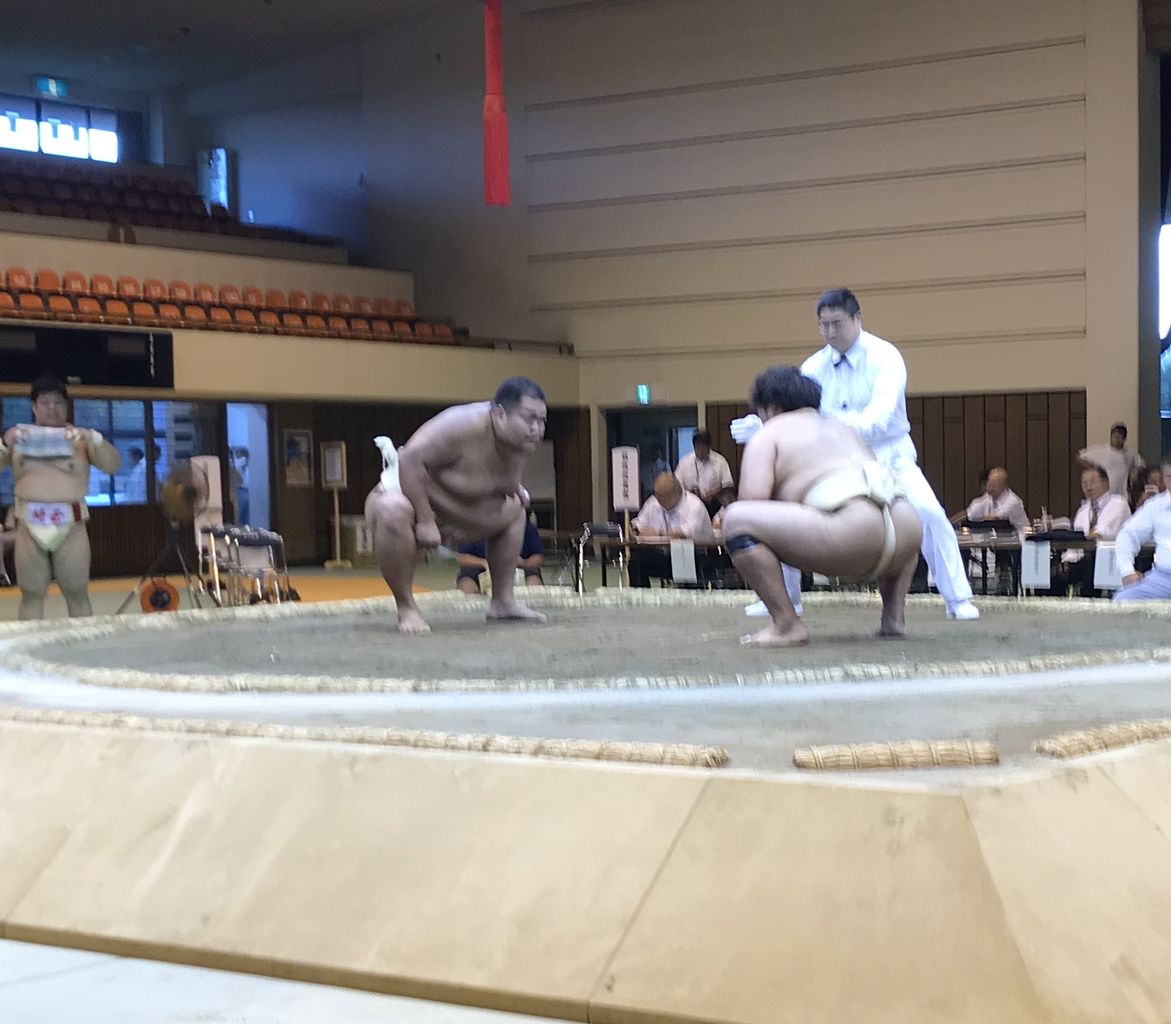 イメージ 8