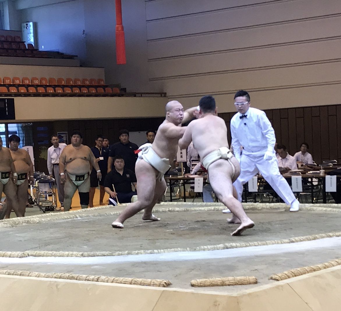 イメージ 7