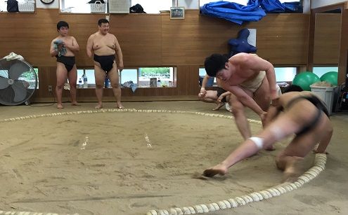 イメージ 13