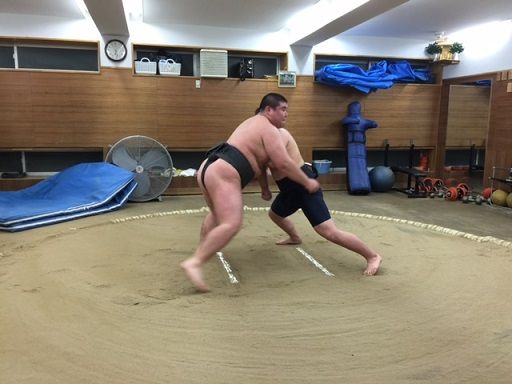 イメージ 6