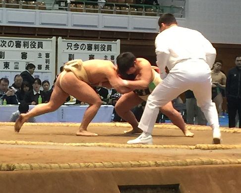 イメージ 6