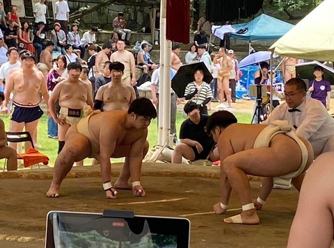 上田