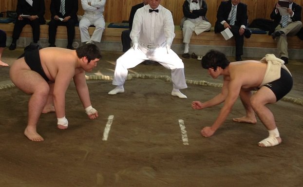 イメージ 8