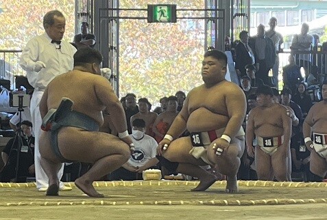 IMG_9533