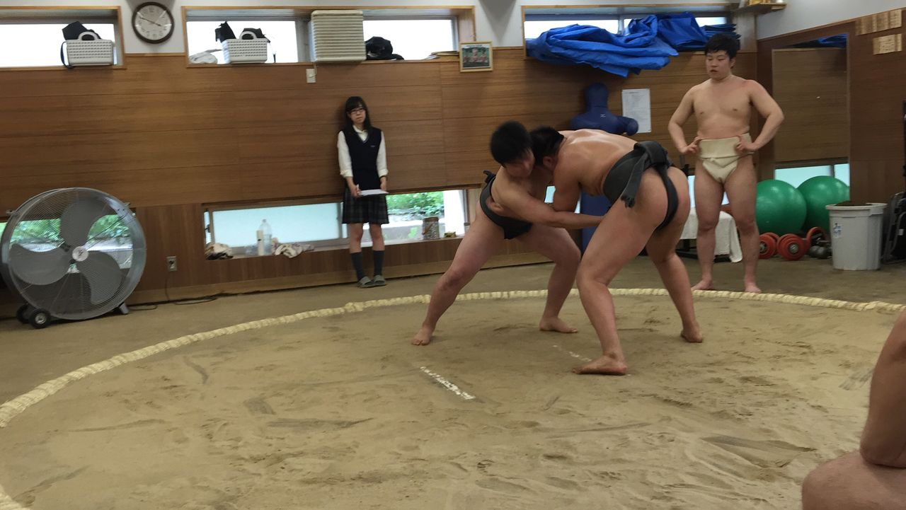 イメージ 5