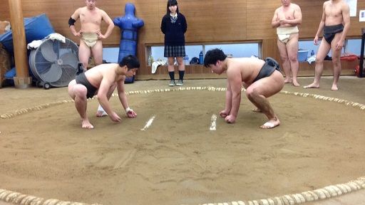 イメージ 8