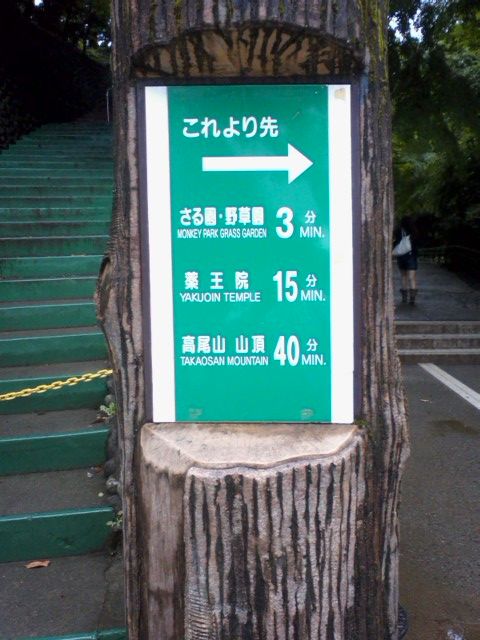 イメージ 14