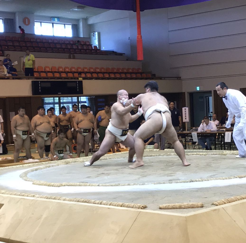 イメージ 14