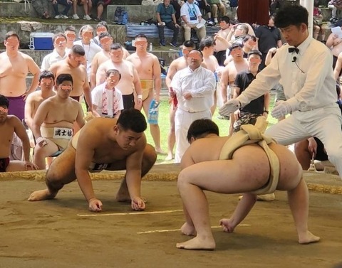 西郷