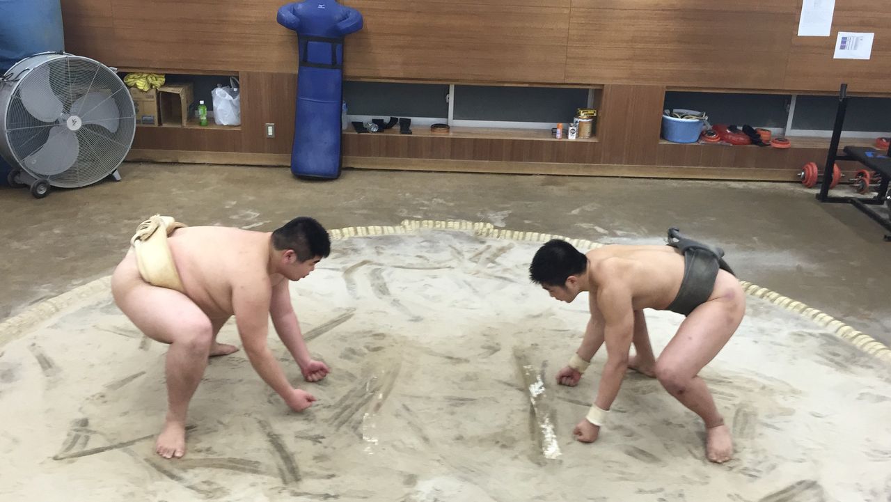 イメージ 4