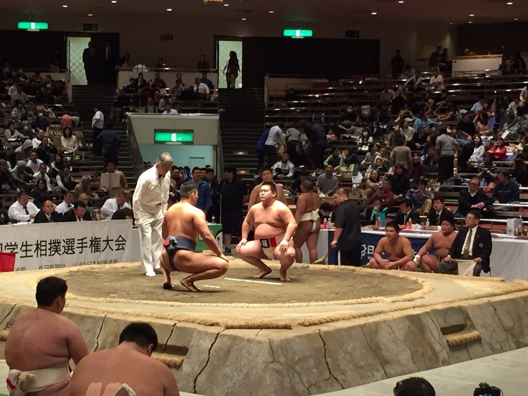 イメージ 7