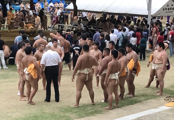 イメージ 13