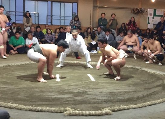 イメージ 15
