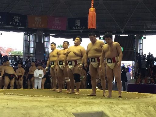 イメージ 8