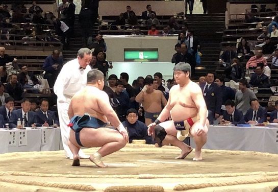 イメージ 7