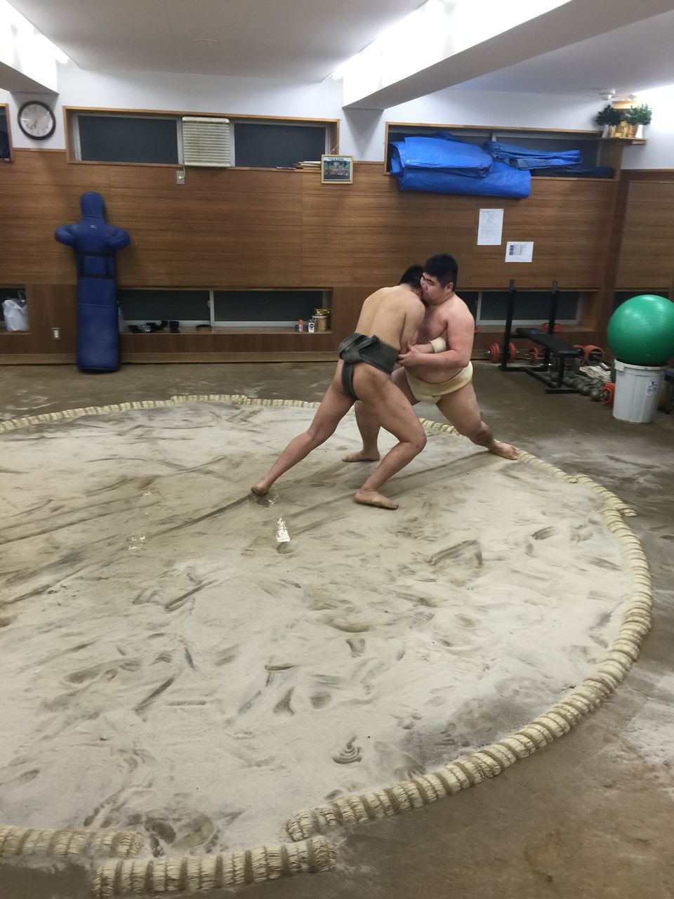 イメージ 8