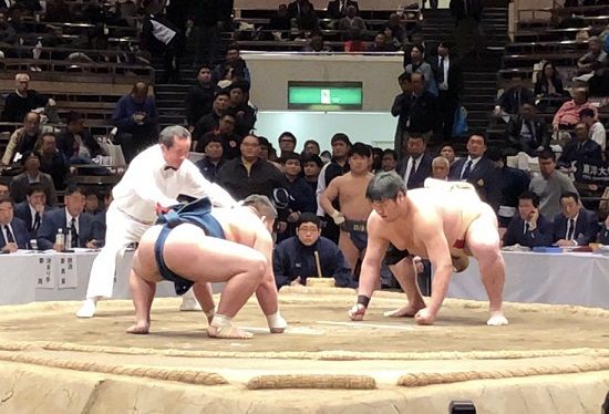 イメージ 8