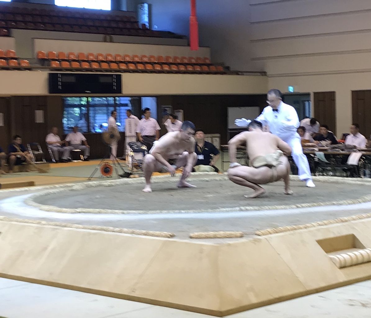 イメージ 6
