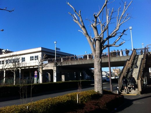 イメージ 2