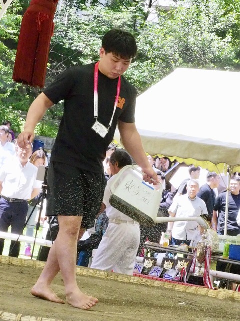 UJNN1310
