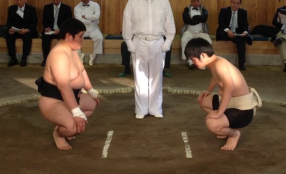 イメージ 6