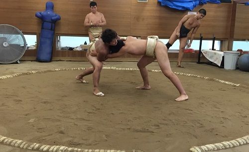 イメージ 17