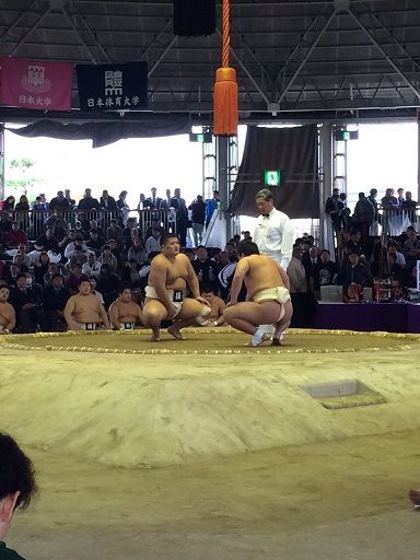 イメージ 4