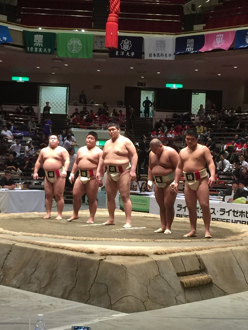 イメージ 8