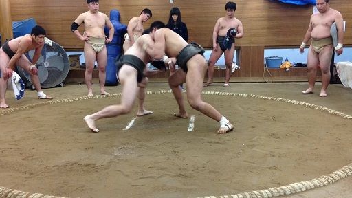 イメージ 7