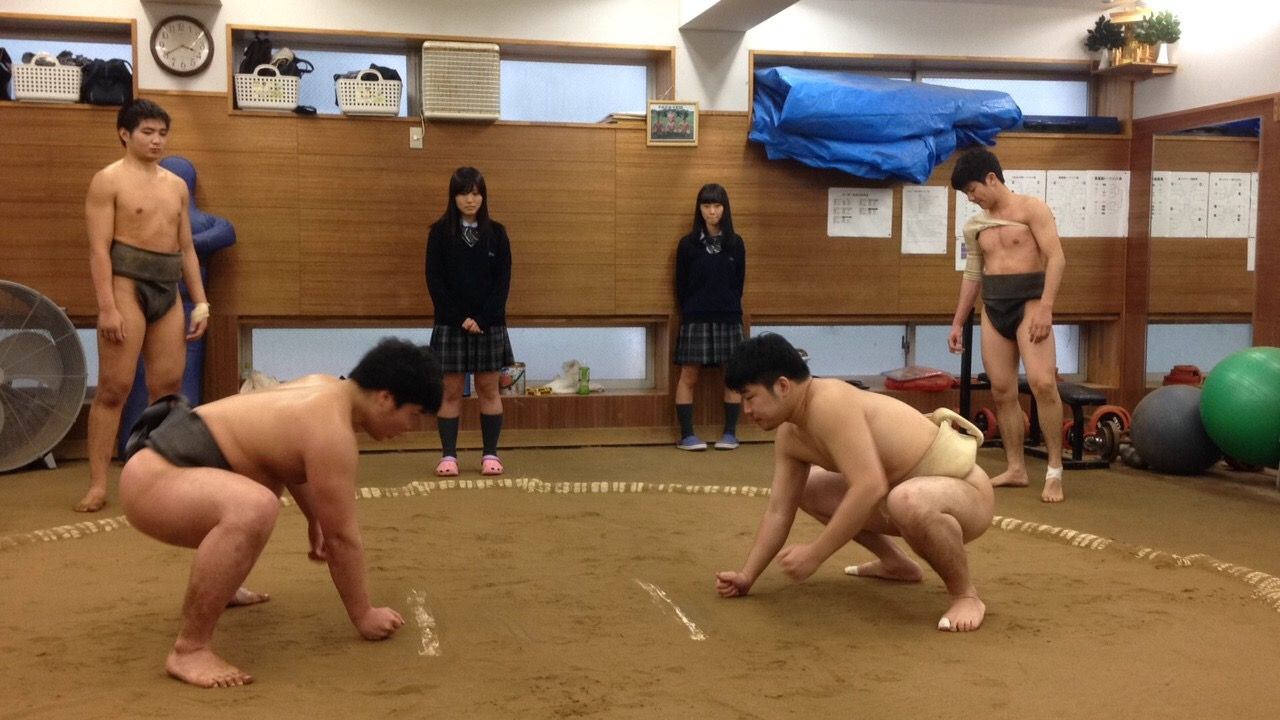 イメージ 7