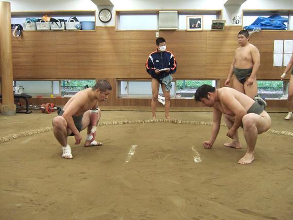 イメージ 5