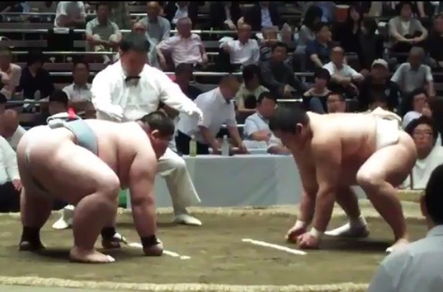 イメージ 18