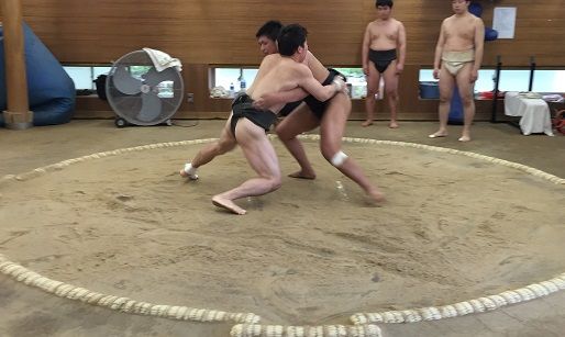 イメージ 8